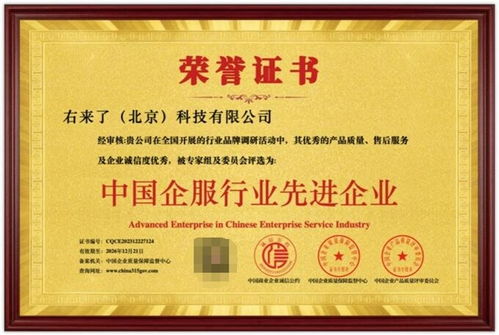 右來(lái)了科技榮獲“中國(guó)企服行業(yè)先進(jìn)企業(yè)”稱號(hào)，彰顯信息系統(tǒng)集成服務(wù)卓越實(shí)力