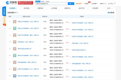 大公司情報社 洞悉信息系統集成服務的戰略價值